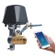 Smart Valve with Wifi Control for Water and Gas Supply Lines